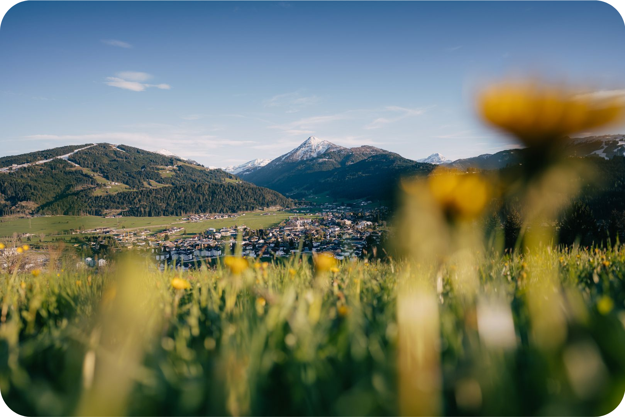 Wandern abgerundet-2.png